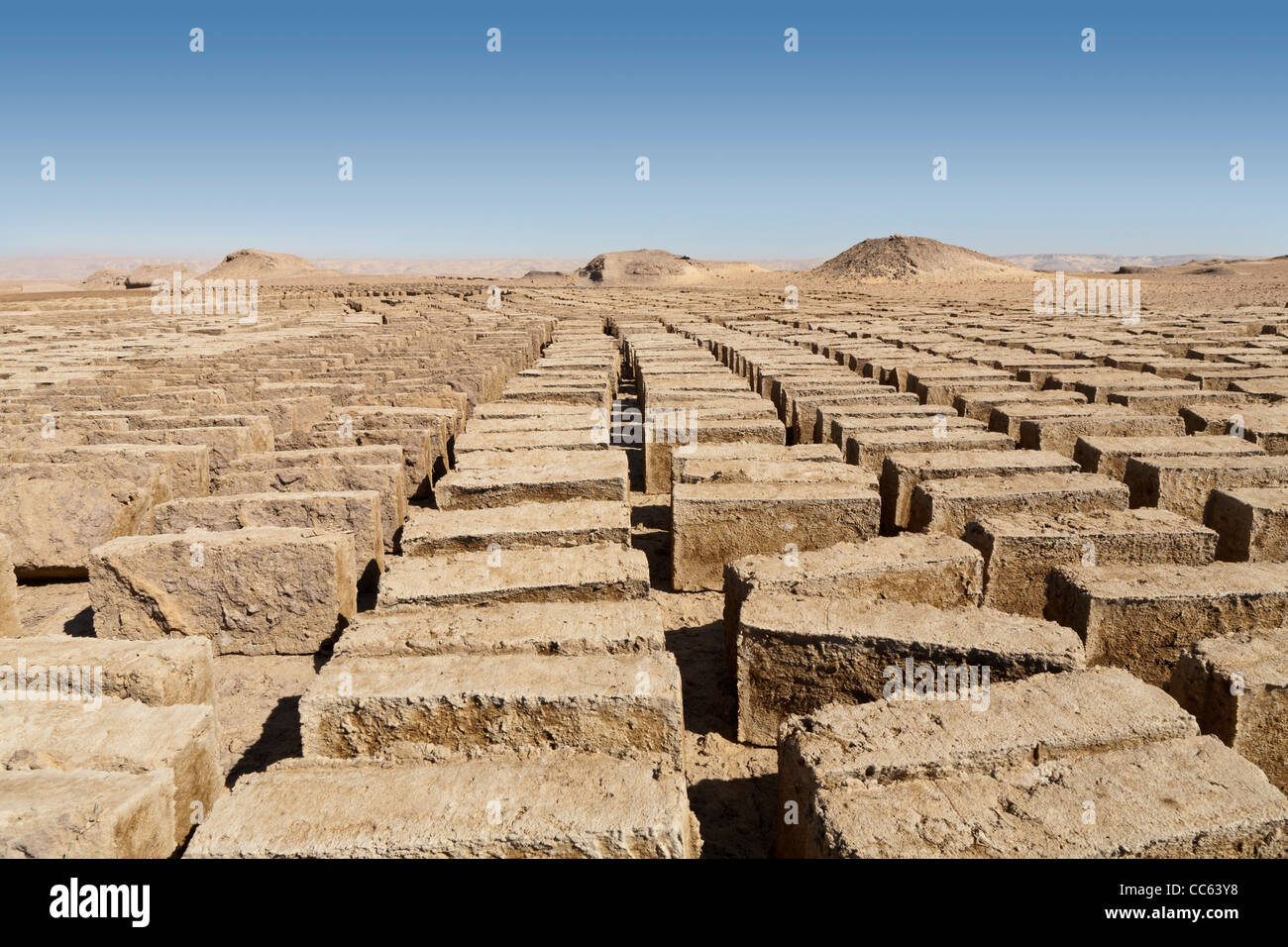 Neonata mattoni di fango essendo realizzato presso l'antico sito di Dush, a sud di Kharga Oasis, deserto occidentale d'Egitto Foto Stock