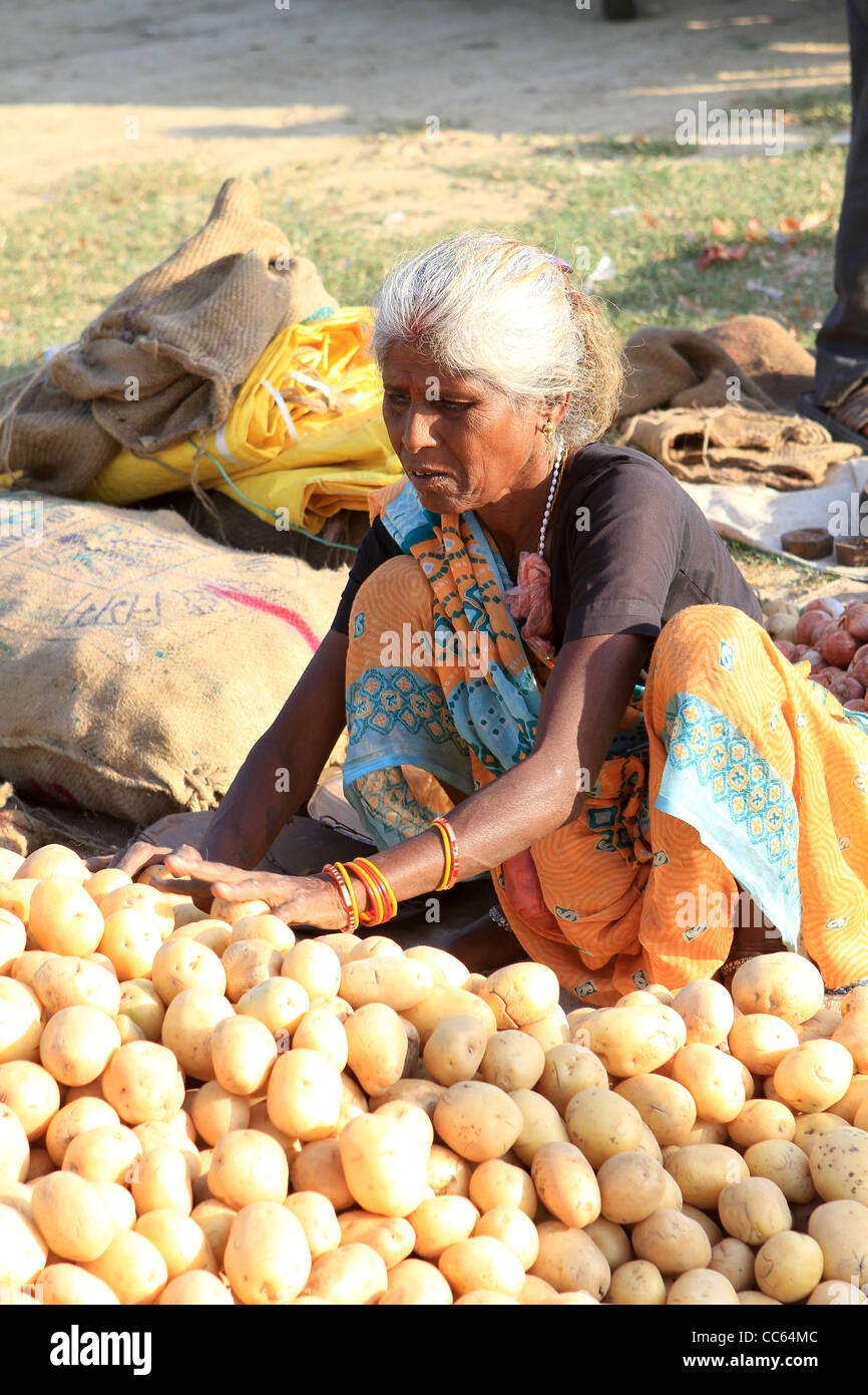 Donna indiana la vendita di patate al mercato. Khajuraho. India Foto Stock