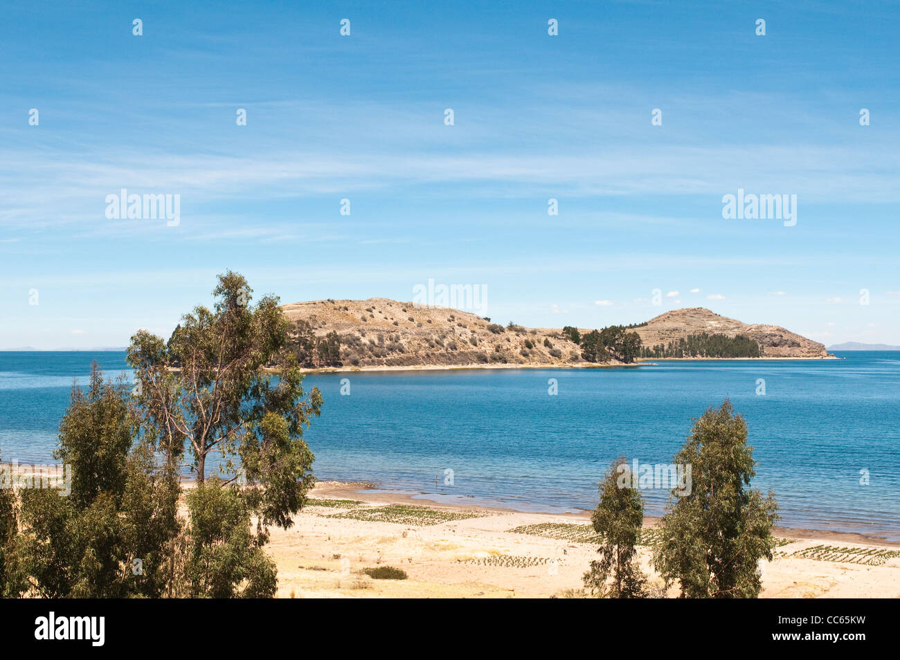 Perù, Lago Titicaca e Riserva Nazionale Titicaca, Isola di Suasi, Puno, Perù. Foto Stock