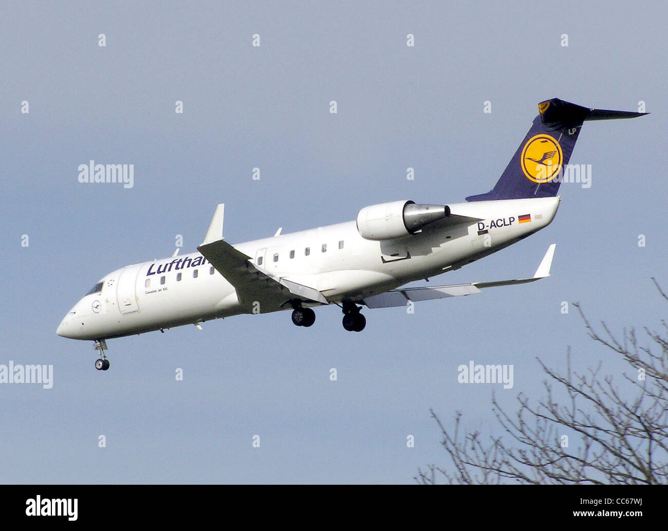 Lufthansa CityLine Canadair CL-600-2B19 jet regionale (CRJ-100) (D-ACLP) in atterraggio all'Aeroporto Heathrow di Londra, Inghilterra. Foto Stock