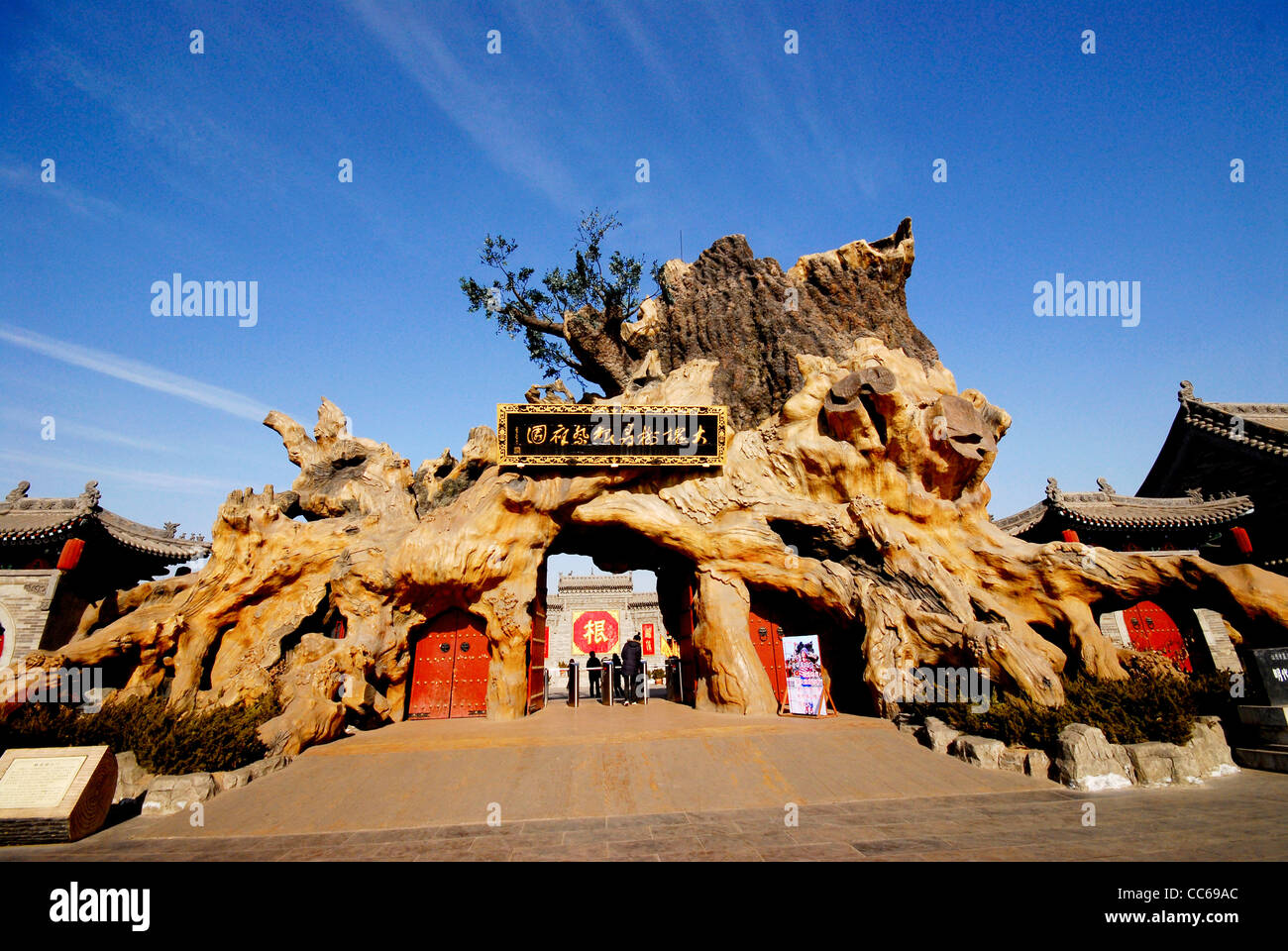 Antico studioso cinese Tree Park, Linfen, Shanxi , Cina Foto Stock