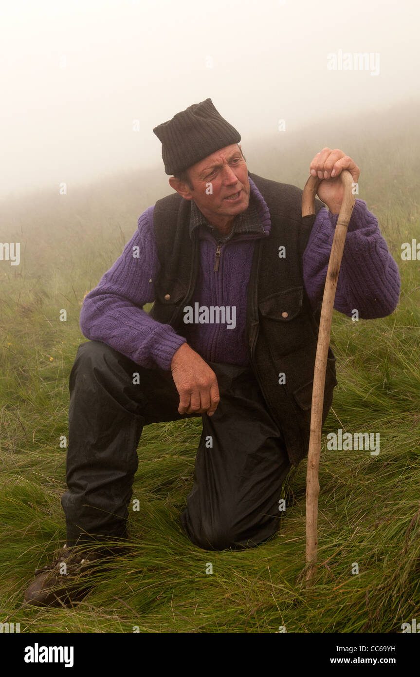 Un pastore italiano in piemonte montagna Foto Stock