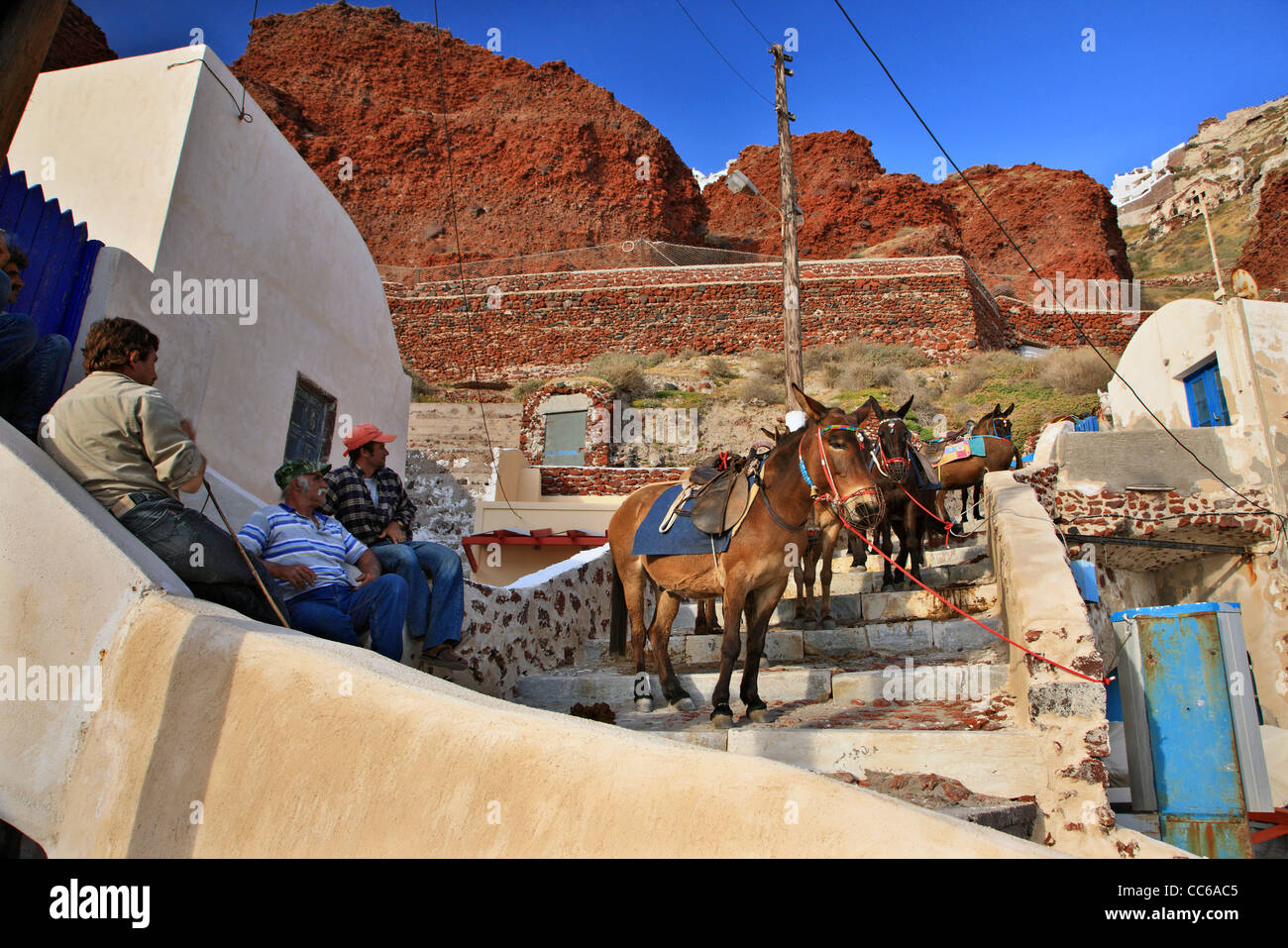 Cavalli, asini, muli sono ancora oggi utilizzato per trasportare i visitatori da Ammoudi (nella foto) al villaggio di Oia - Santorini, Grecia Foto Stock