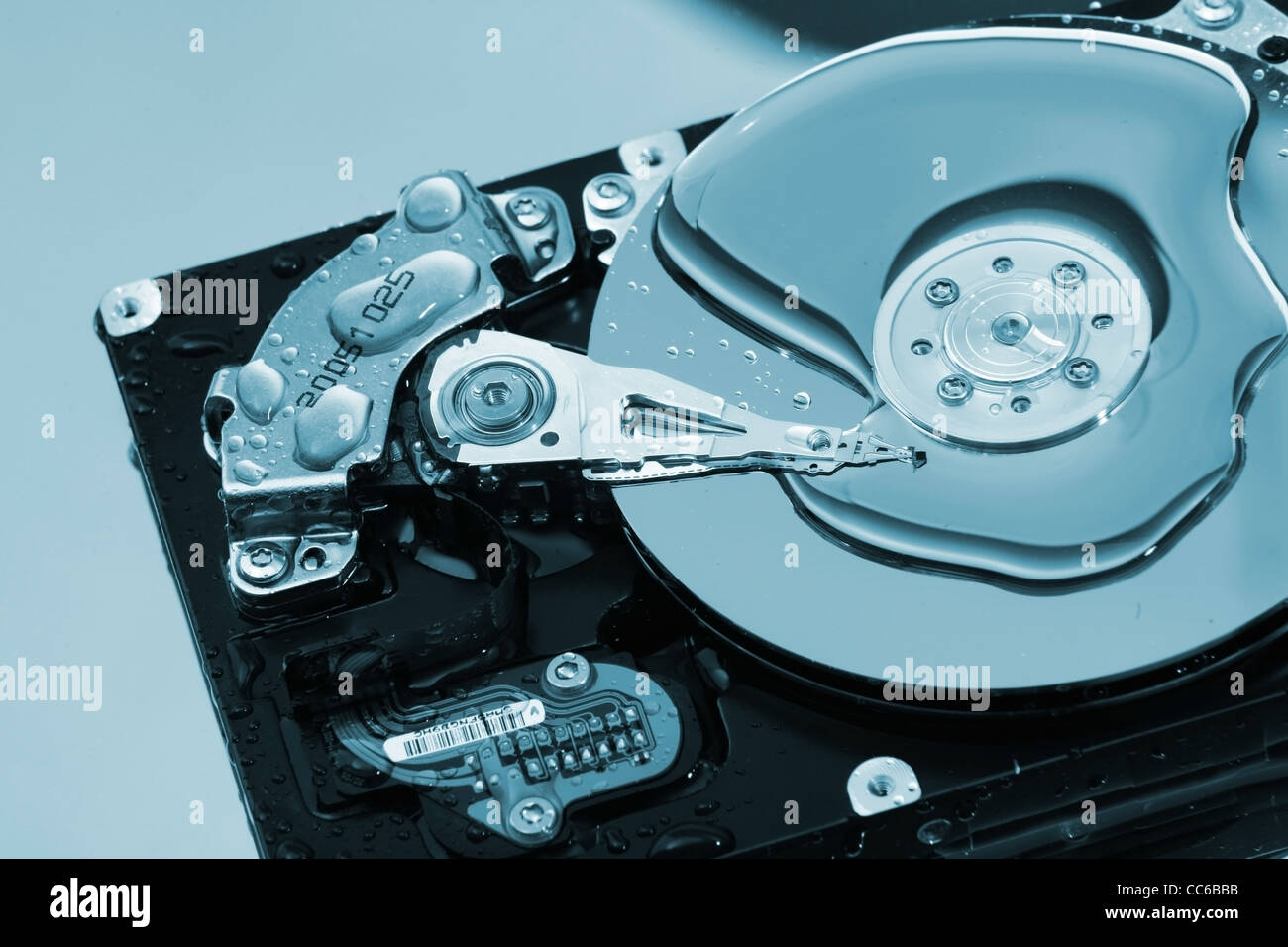 spruzzata dell'acqua Foto Stock