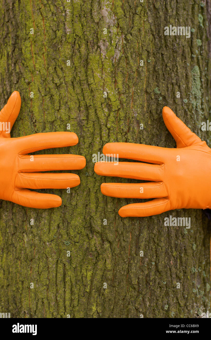 Le mani, Arancione guanto, albero verde, autunno Foto Stock