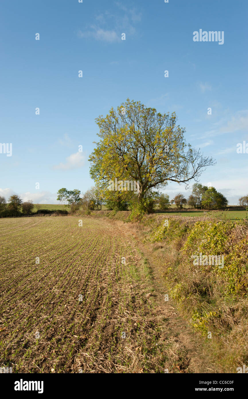 Paesaggio agreste in Stratford-su-Avon, Warwickshire, Inghilterra, Regno Unito Foto Stock