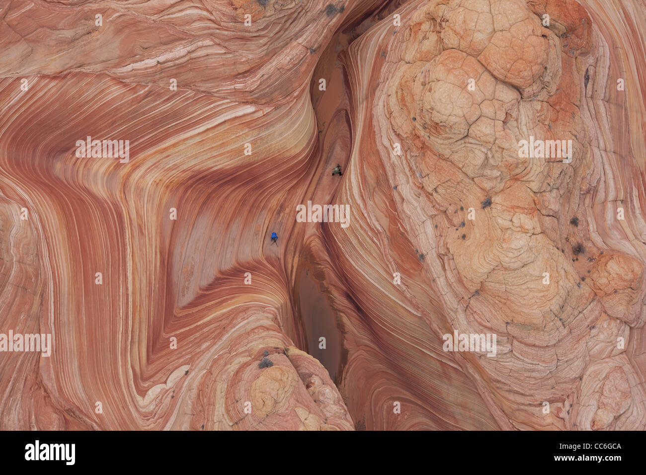 VISTA AEREA VERTICALE. Due fotografi ambientano i cavalletti della loro fotocamera alla famosa formazione rock 'The Wave'. Contea di Coconino, Arizona, Stati Uniti. Foto Stock