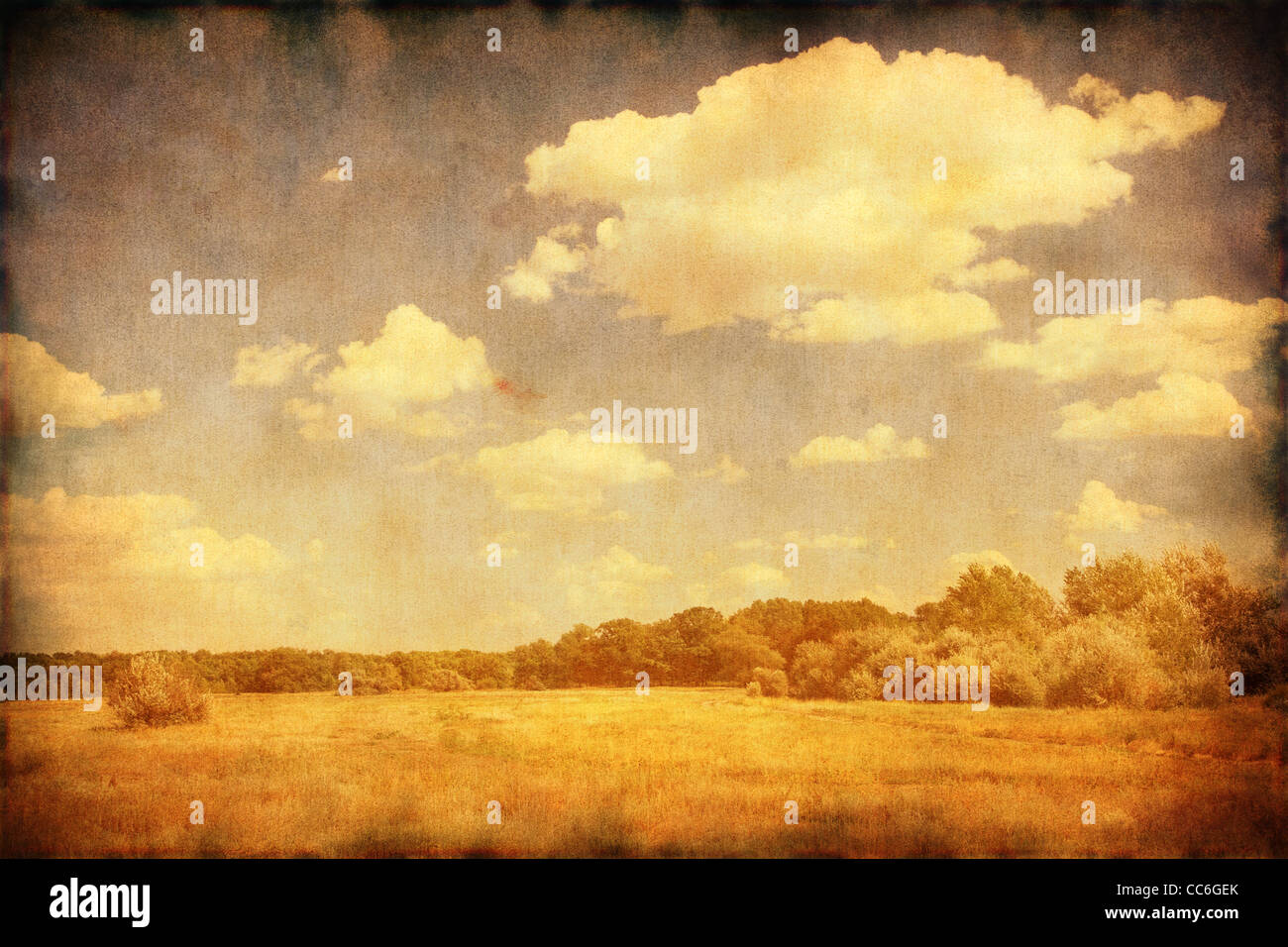 In stile vecchio foto del campo, foresta, cielo blu e nuvole bianche. Foto Stock