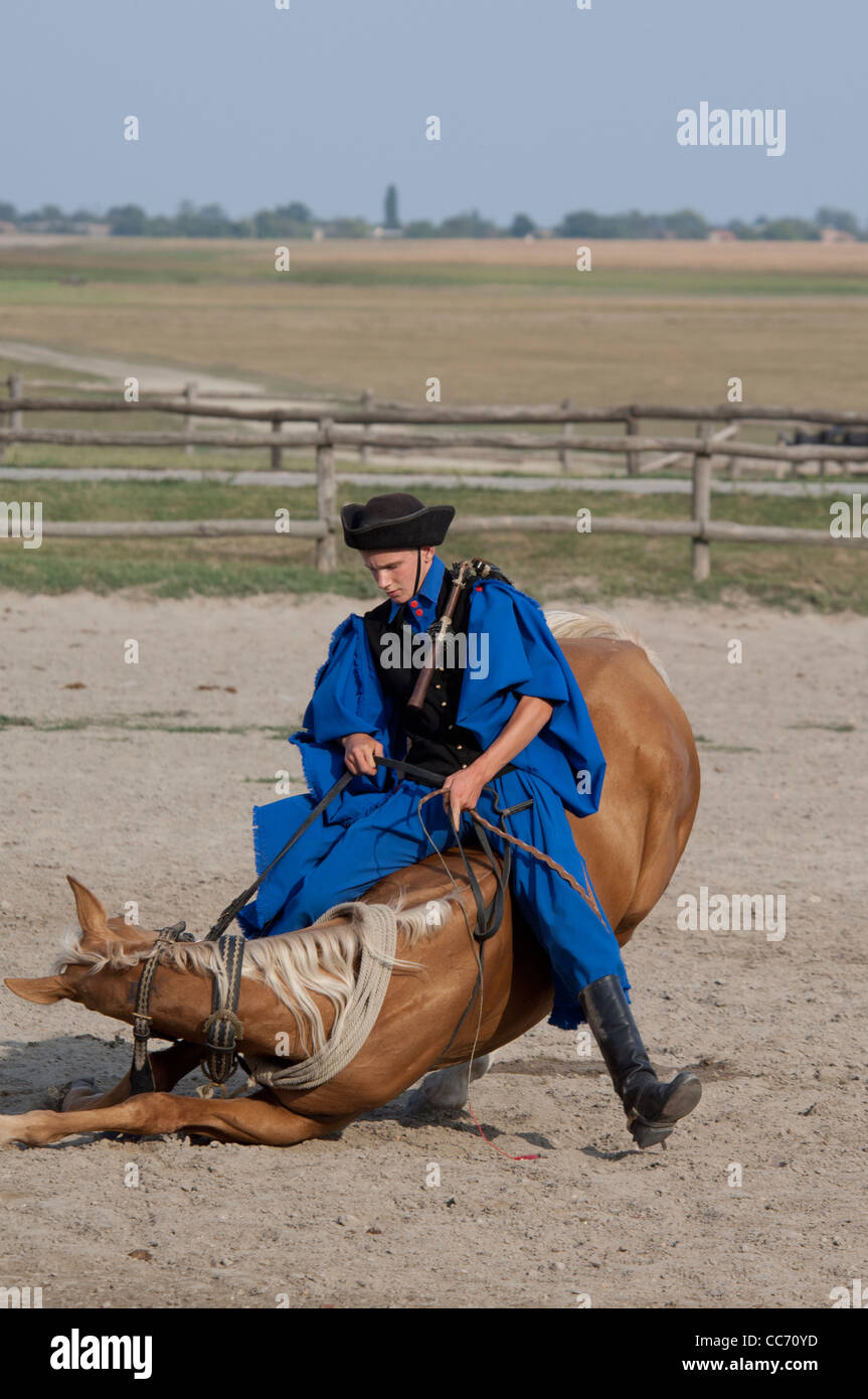 Ungheria, kalocsa. tradizionale ungherese ranch & cowboy show. horse show trucco. Foto Stock