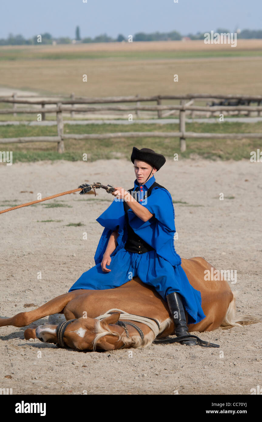 Ungheria, kalocsa. tradizionale ungherese ranch & cowboy show. horse show trucco. Foto Stock