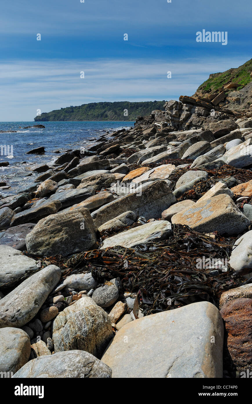 Punto: peveril litorale Swanage Inghilterra DORSET REGNO UNITO Foto Stock