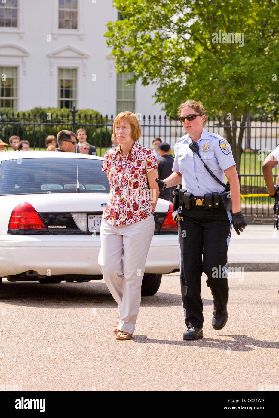 Un dimostratore femmina è ammanettato e portato via dalla polizia - Washington DC, Stati Uniti d'America Foto Stock