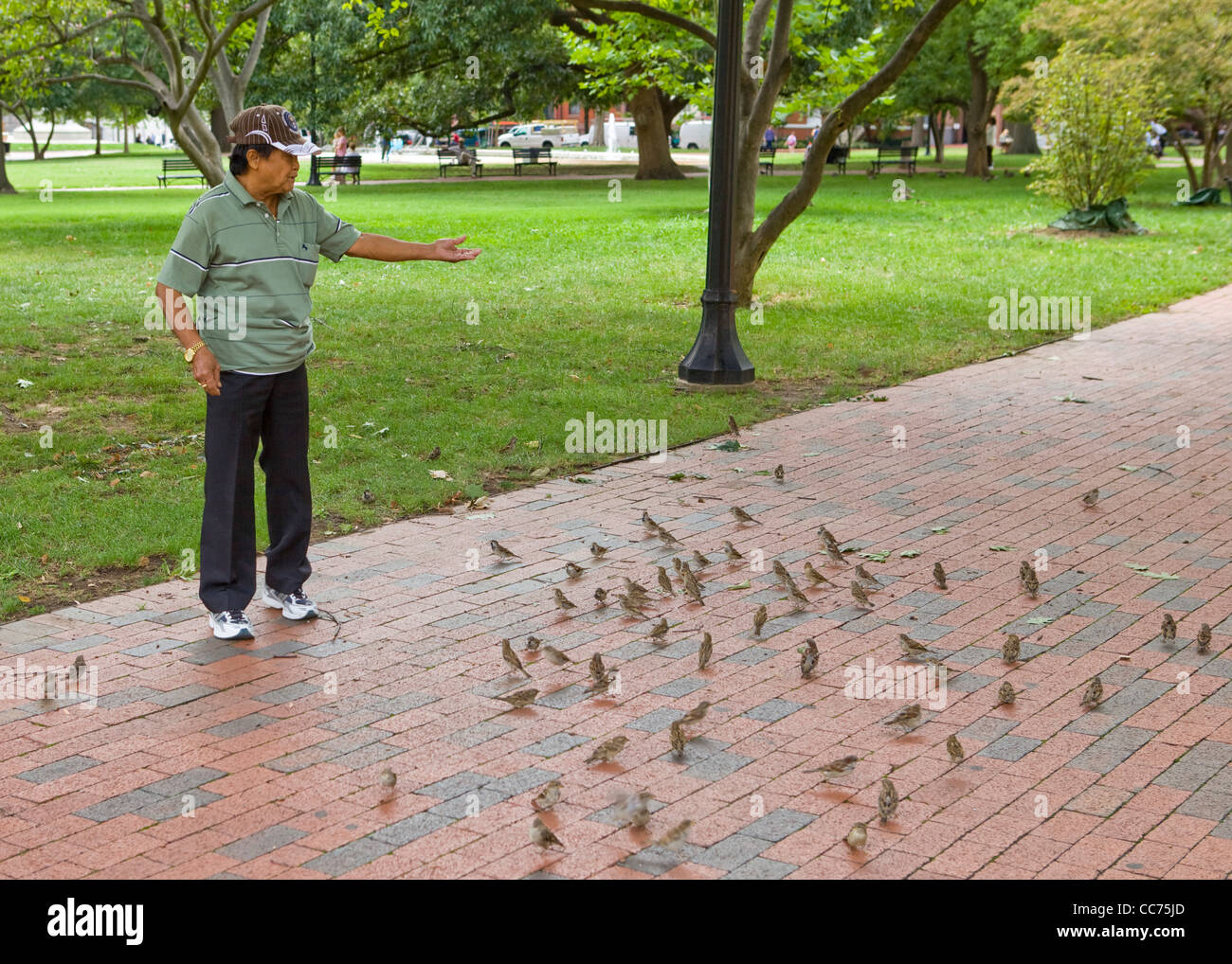 Un uomo alimentazione di uccelli in un parco Foto Stock