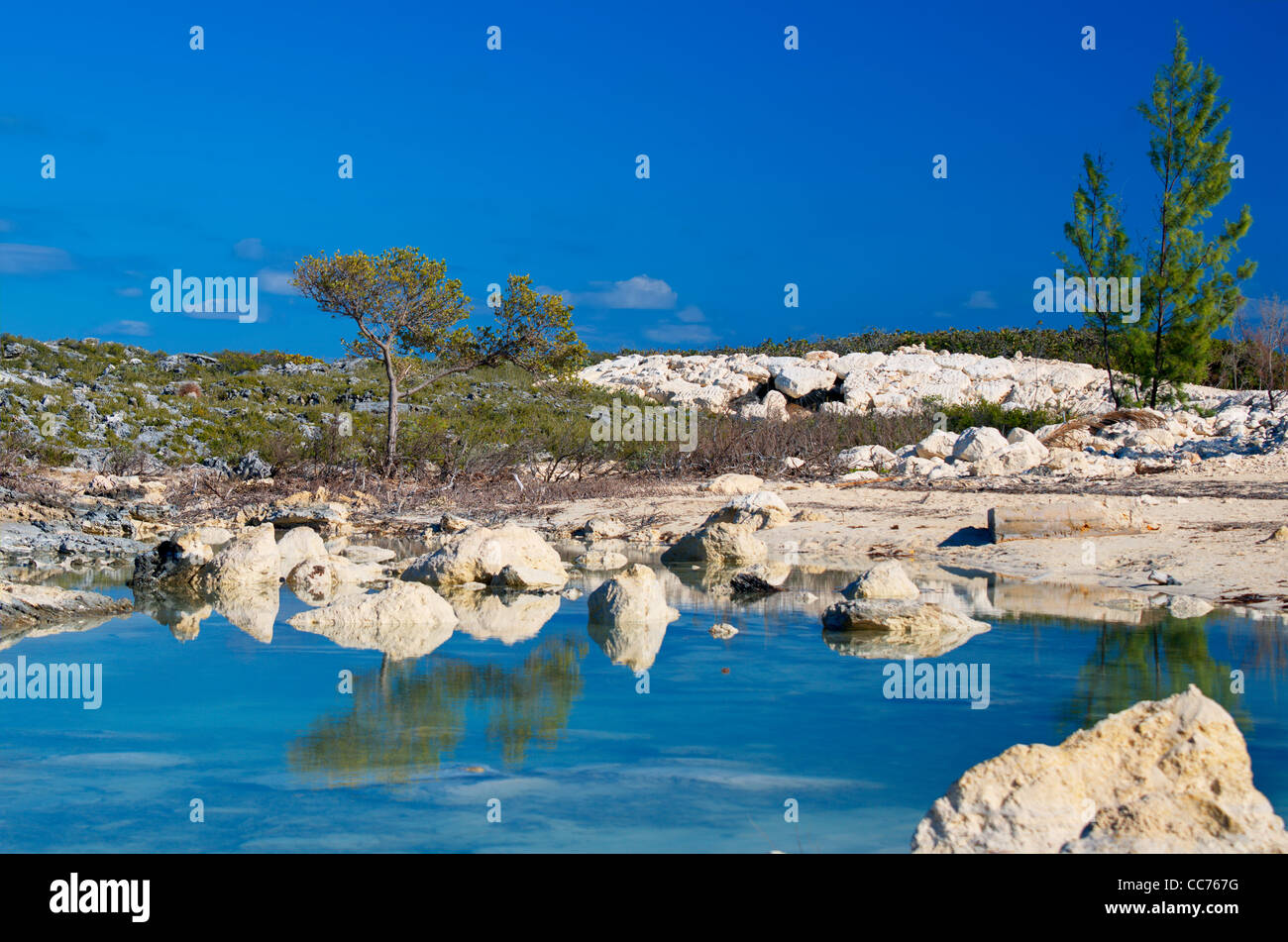 Paesaggio di un'isola rocciosa Foto Stock