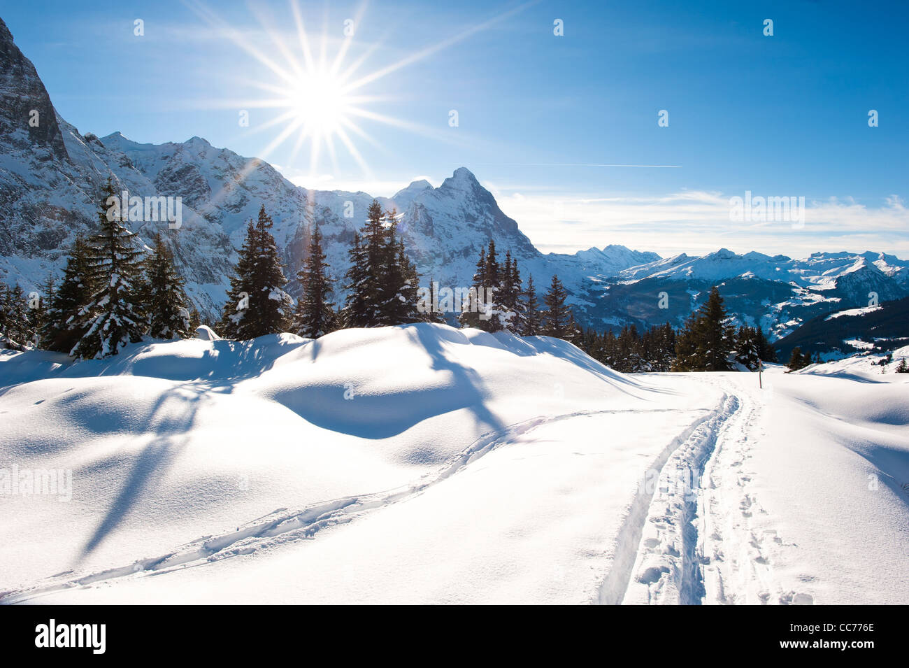 Uno scenario panoramico sopra Grindelwald, Svizzera in inverno Foto Stock