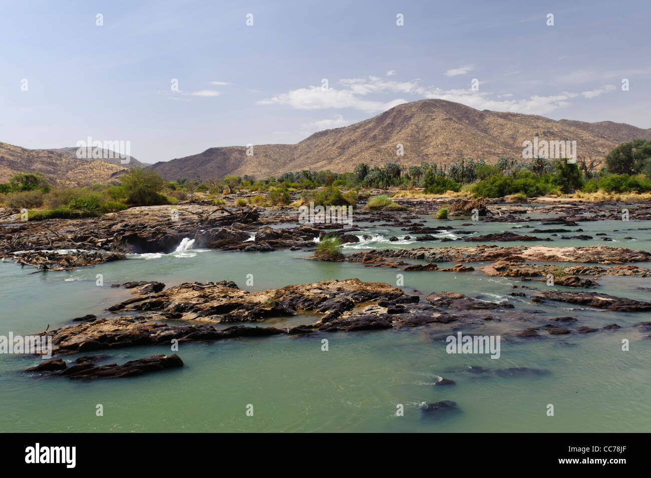 Il fiume Kunene vicino al Epupa Falls, Kunene Regione Kaokoland, Namibia. Foto Stock