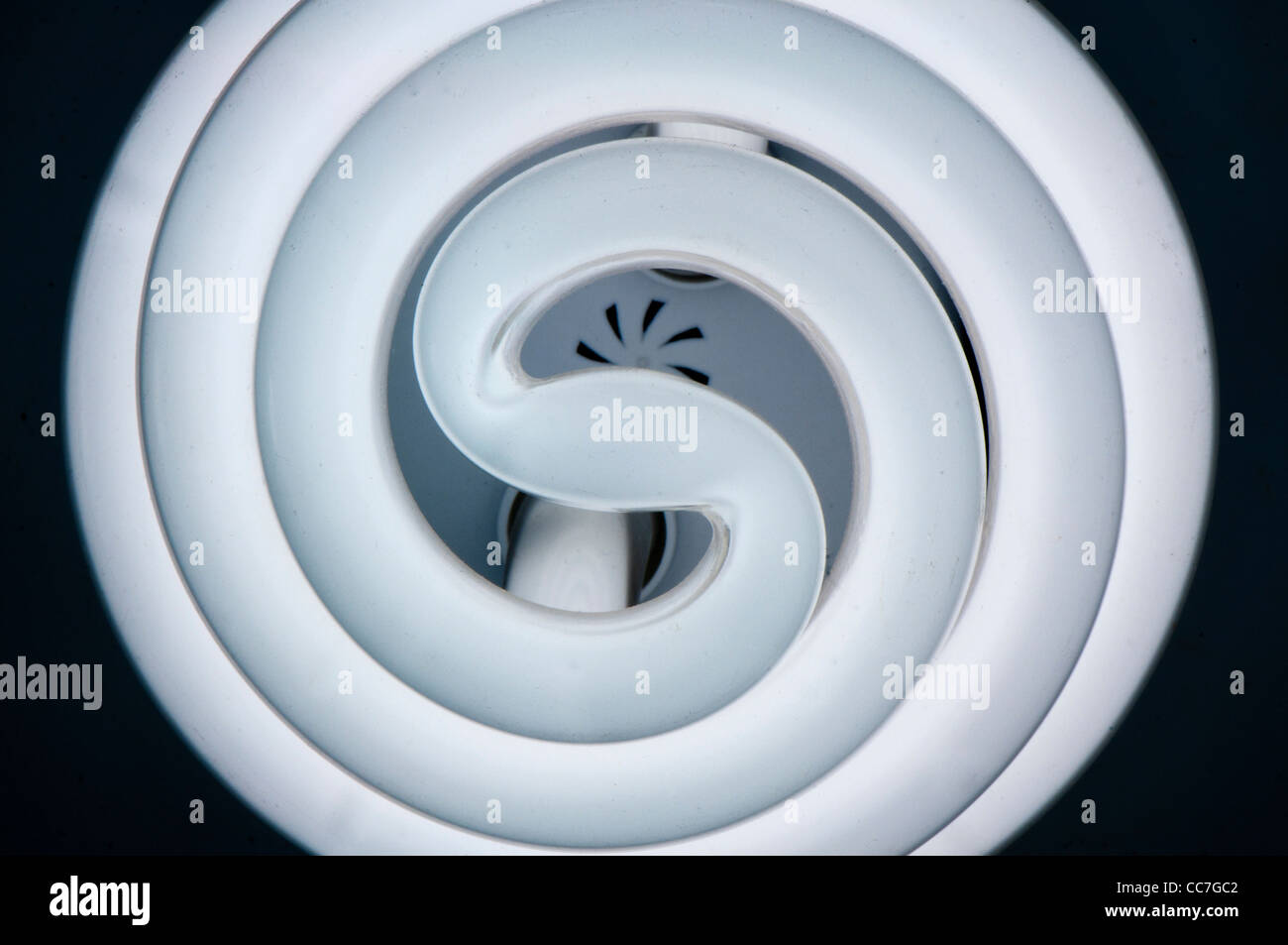 Lampadina fluorescente closeup a spirale Foto Stock