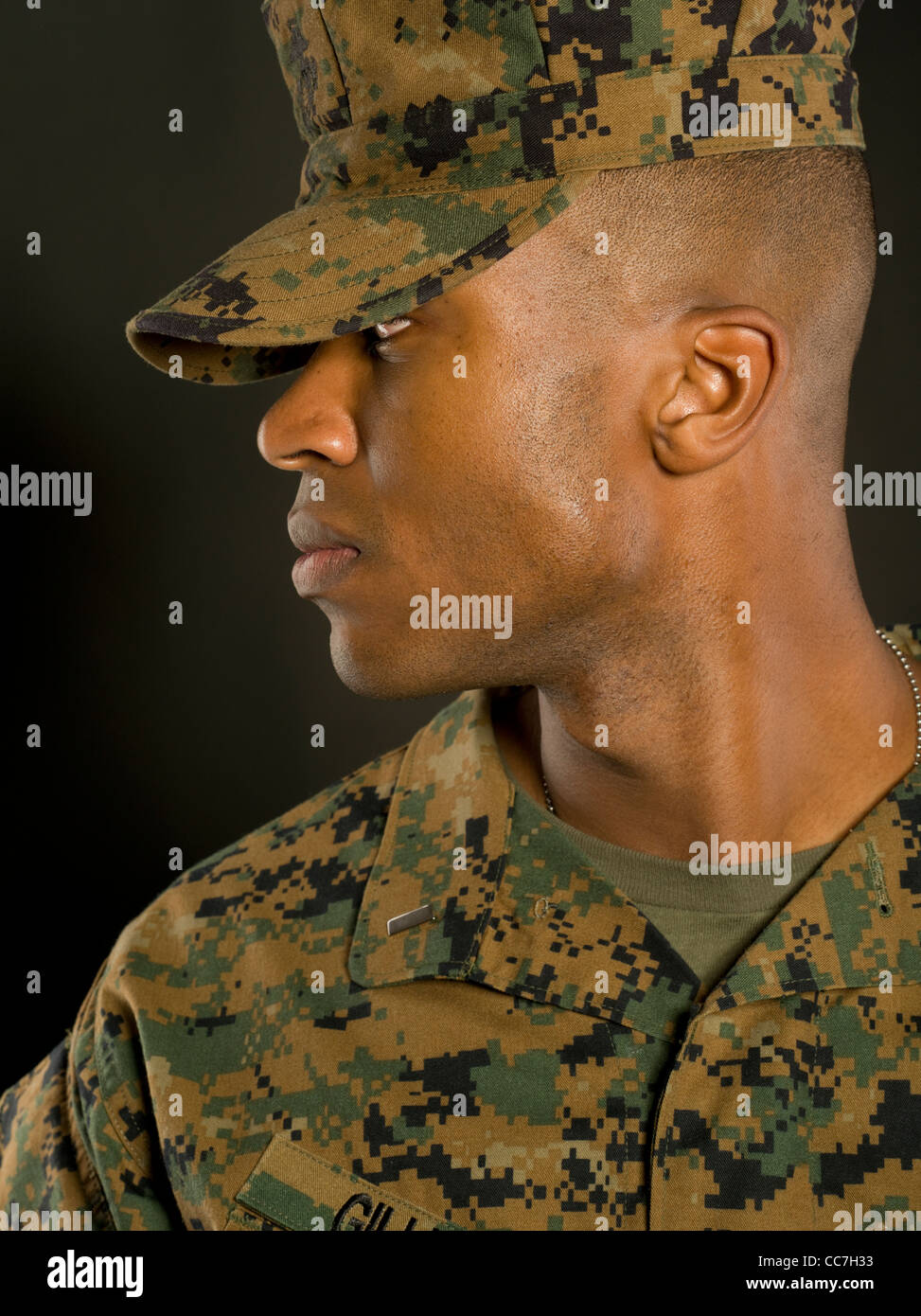 Stati Uniti Marine Corps Officer in Marine Corps Combat Utility MARPAT uniforme digitale modello camouflage woodland pattern Foto Stock