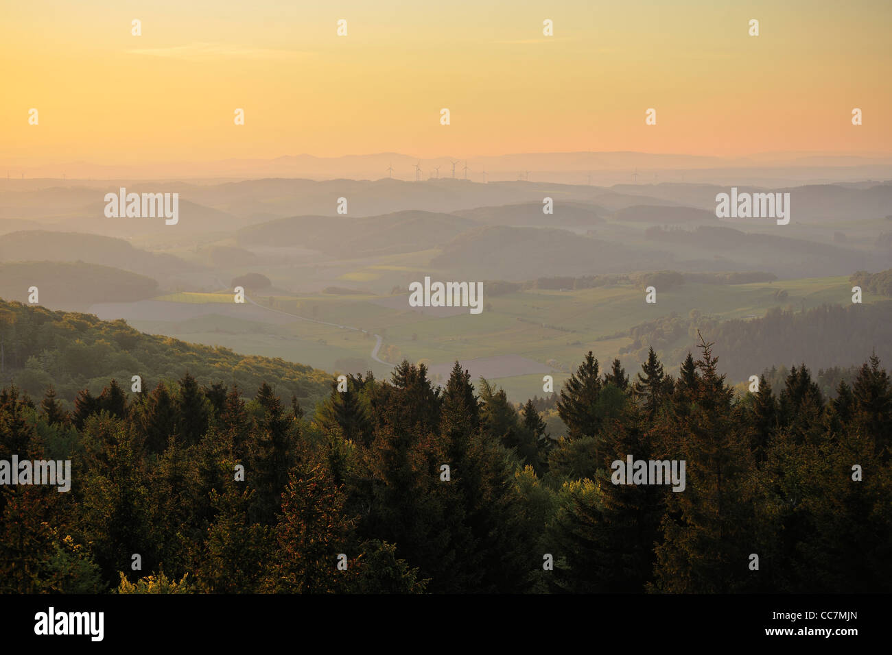 Vista dalla Torre di Dommel, Ottlar, Diemelsee, Hesse, Waldeck-Frankenberg, Germania Foto Stock