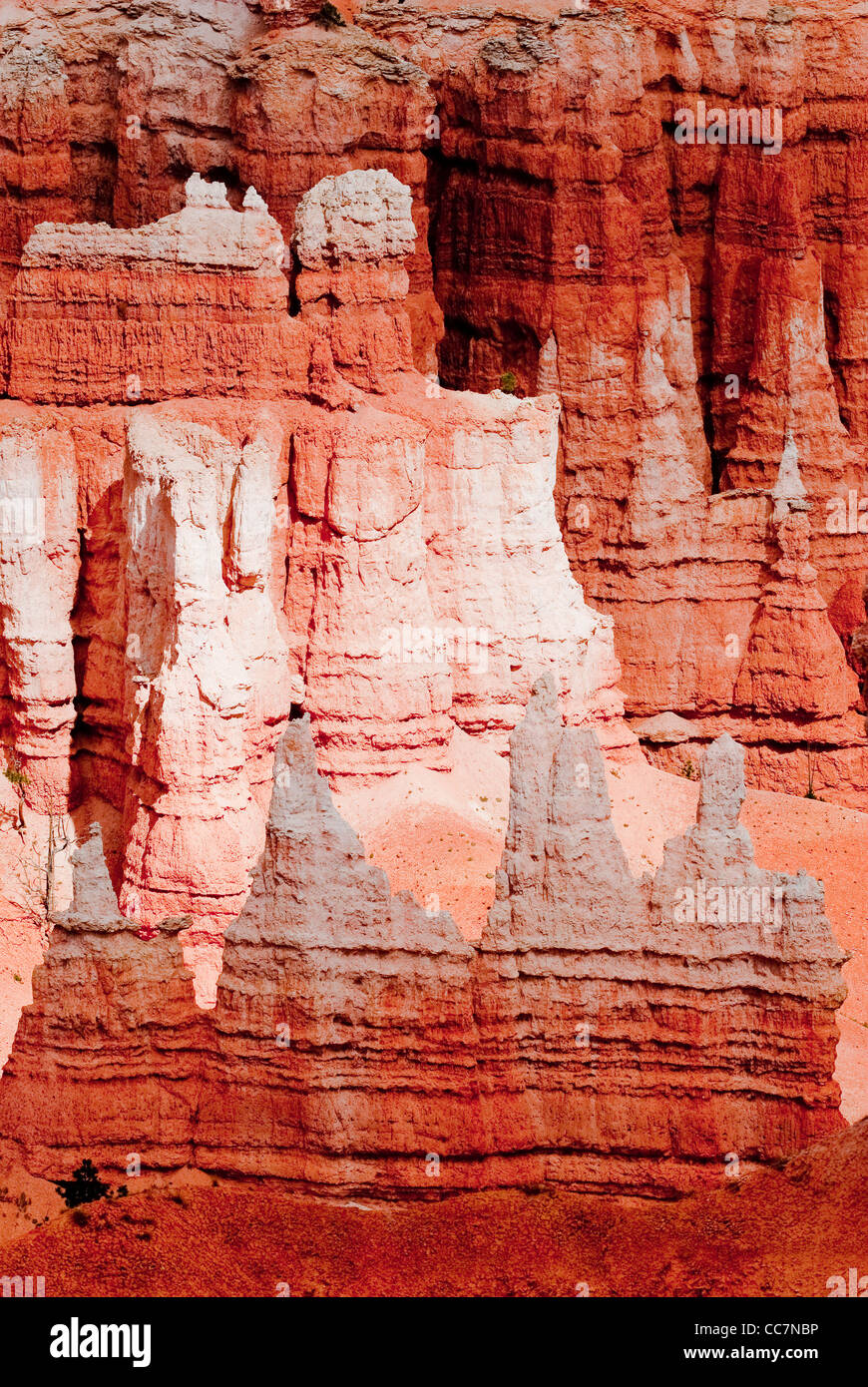 Il parco nazionale di Bryce hoodoo formazioni arenarie in luce rossa Foto Stock