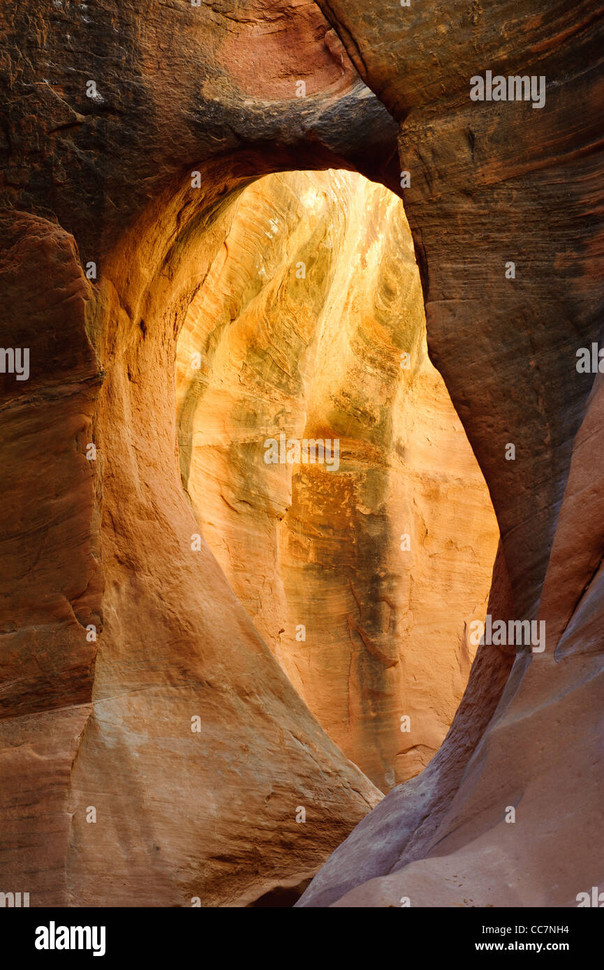 Passaruota interno peek-a-boo Canyon Slot in corrispondenza del foro in una roccia strada in grande scala monumento nazionale, Utah, Stati Uniti d'America Foto Stock