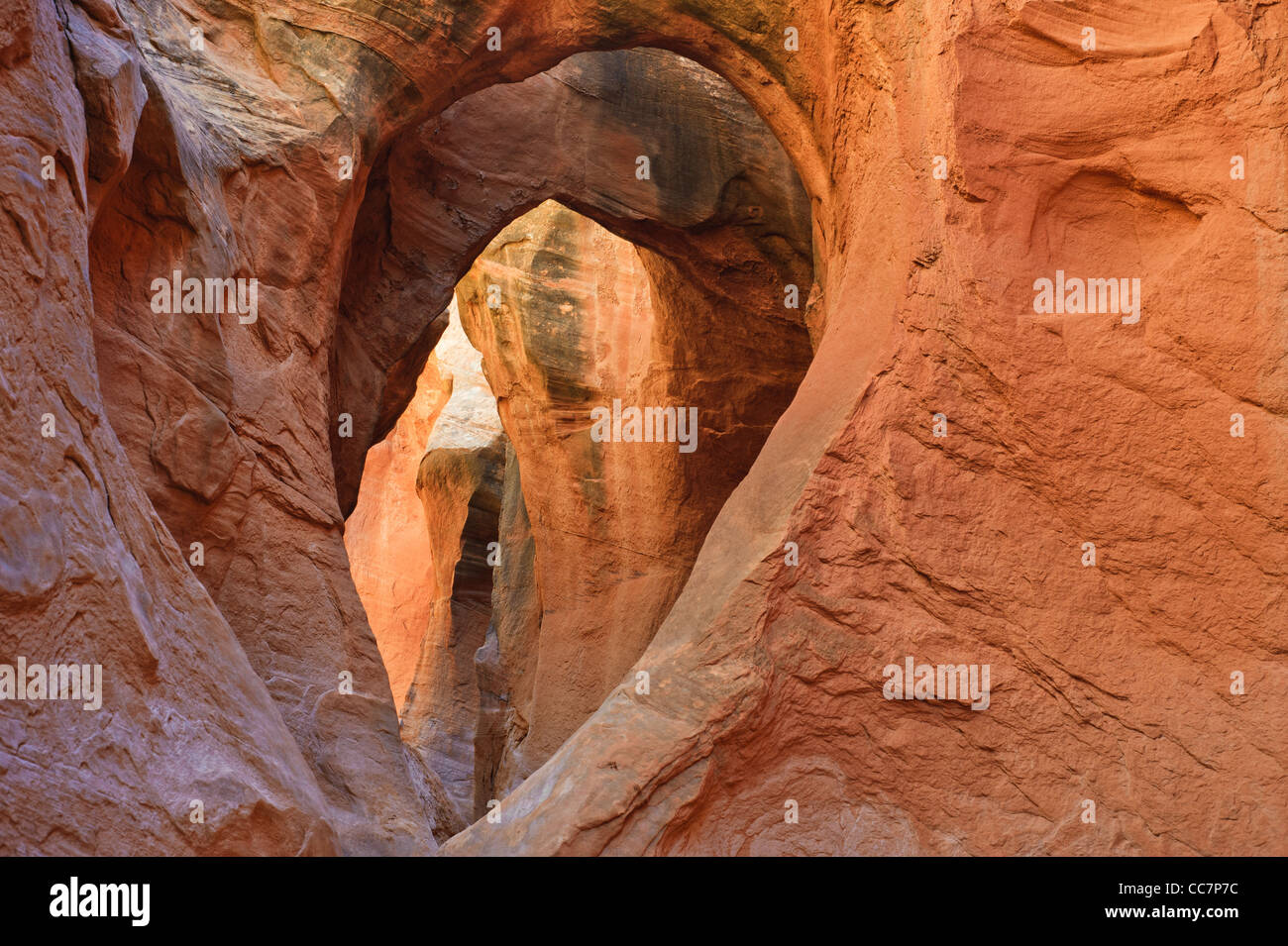 Passaruota interno peek-a-boo canyon slot, il foro in una Rock road, la grande scala monumento nazionale, Utah, Stati Uniti d'America Foto Stock