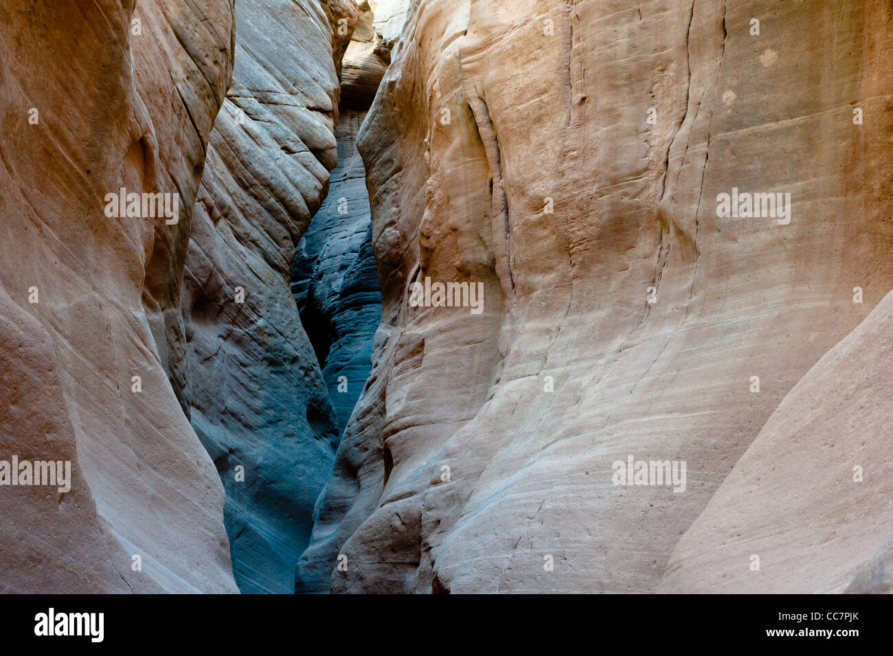 Bull valley gorge slot canyon, la grande scala monumento nazionale (GSNM), Utah, Stati Uniti d'America Foto Stock