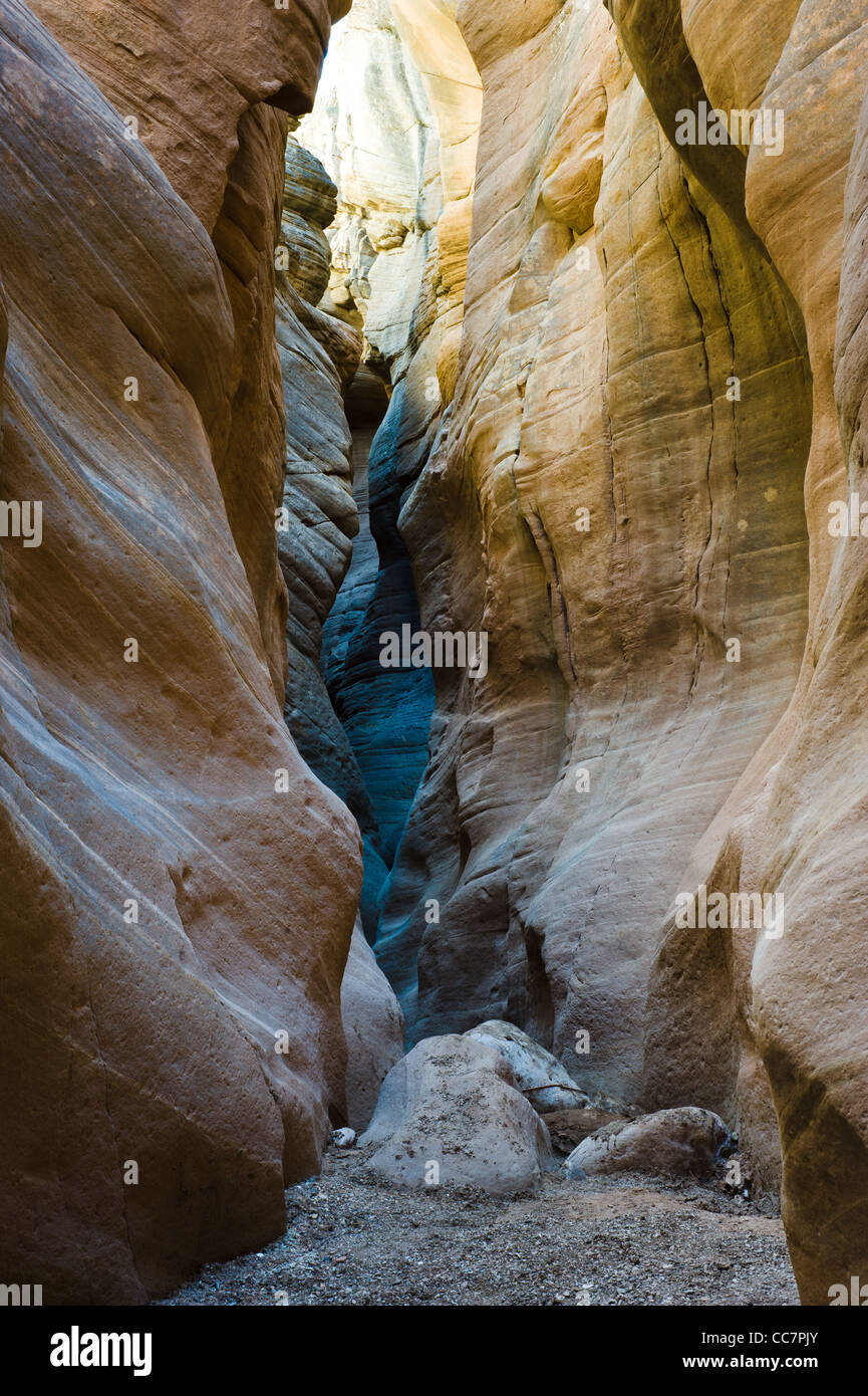 Bull valley gorge slot canyon, la grande scala monumento nazionale (GSNM), Utah, Stati Uniti d'America Foto Stock