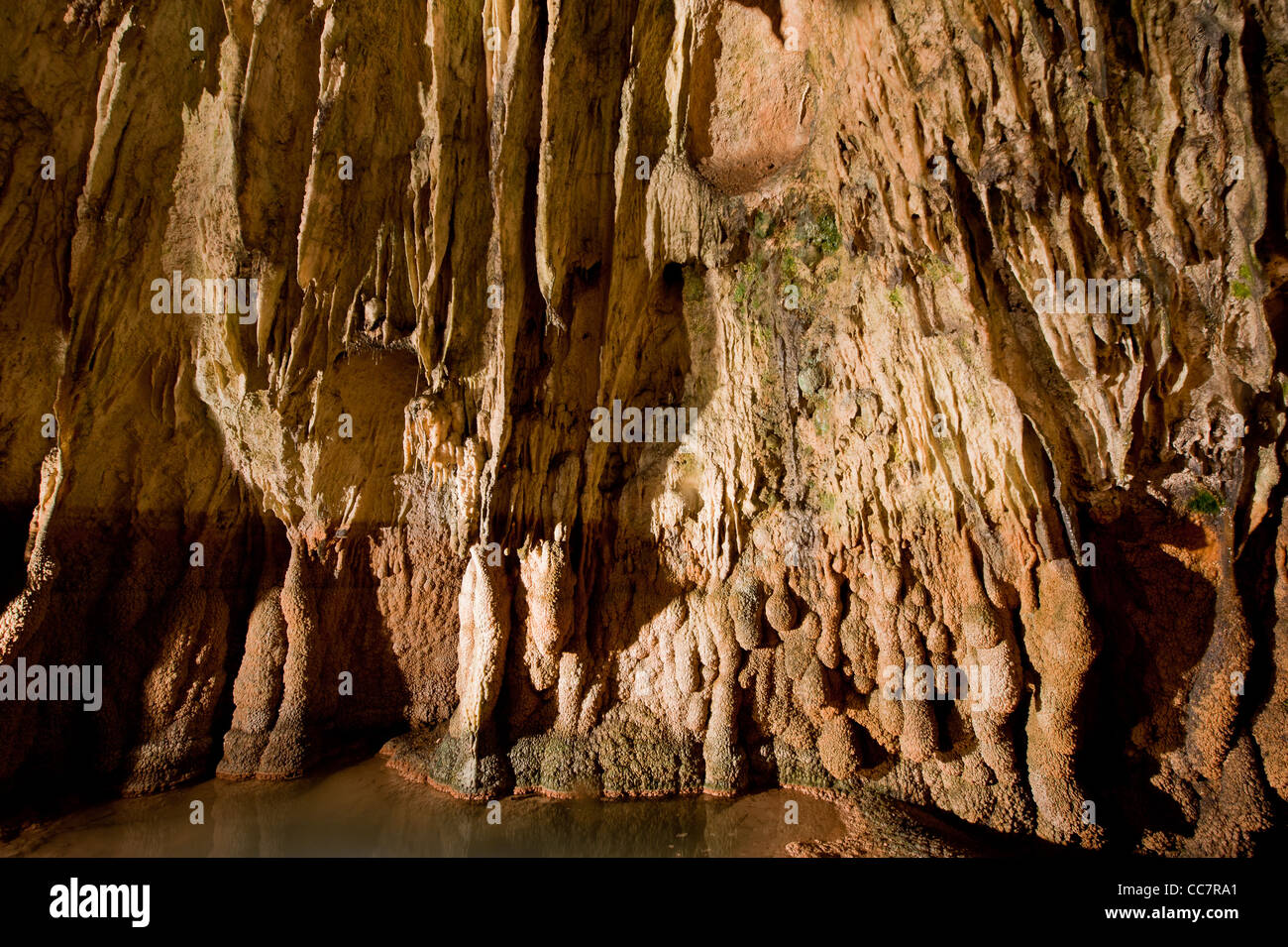 Hoellgrotten grotta con stalatites, Svizzera Foto Stock