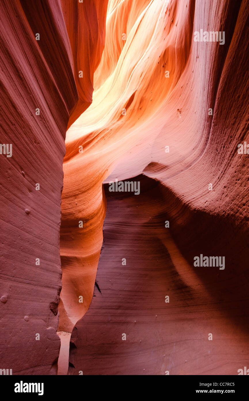 Abbassare Antelope Canyon slot, riserva Navajo, Pagina, Arizona, Stati Uniti d'America Foto Stock