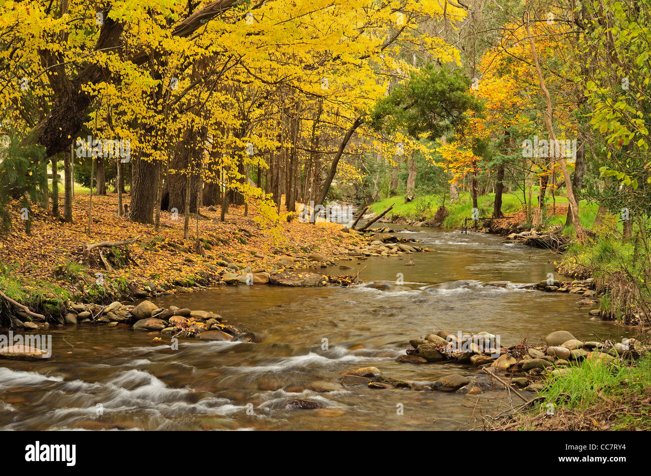 Barwidgee Creek, Myrtleford, Victoria, Australia Foto Stock