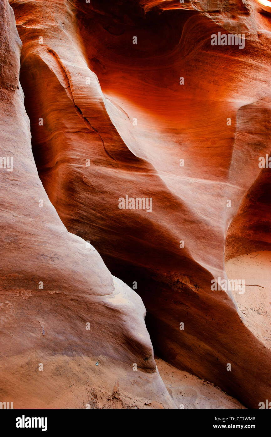 Spooky Slot Canyon, foro in un rock road, la grande scala monumento nazionale, Utah, Stati Uniti d'America Foto Stock