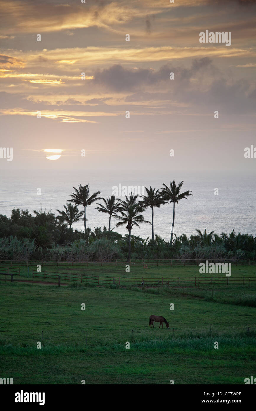 Hanalei Bay, Kauai, Hawaii, STATI UNITI D'AMERICA Foto Stock