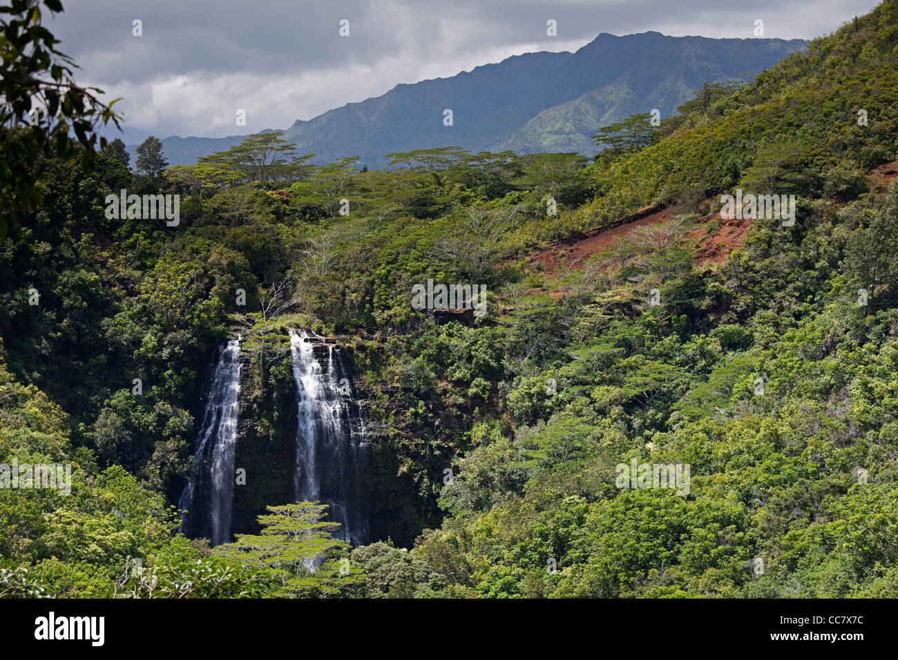 Opaeka'a Falls, Kauai, Hawaii, STATI UNITI D'AMERICA Foto Stock