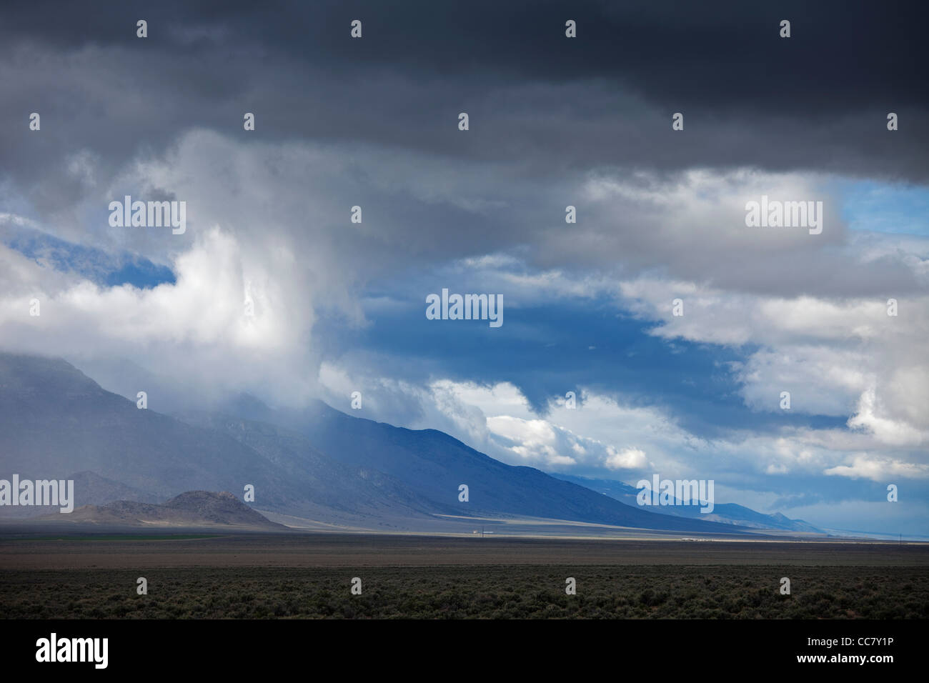 Rangeland, Nevada, STATI UNITI D'AMERICA Foto Stock