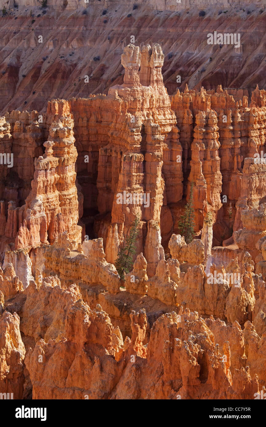 Parco Nazionale di Bryce Canyon, Utah, Stati Uniti d'America Foto Stock