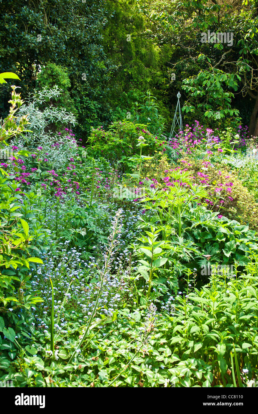 Un arbusto perenne e di frontiera in un paese di lingua inglese manor garden a inizio estate nel Wiltshire, Inghilterra, Regno Unito Foto Stock