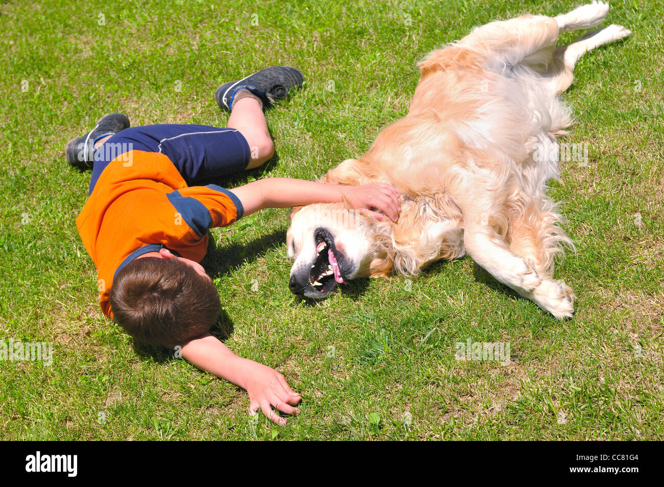Ragazzo disteso con il cane su erba verde in posizione di parcheggio Foto Stock