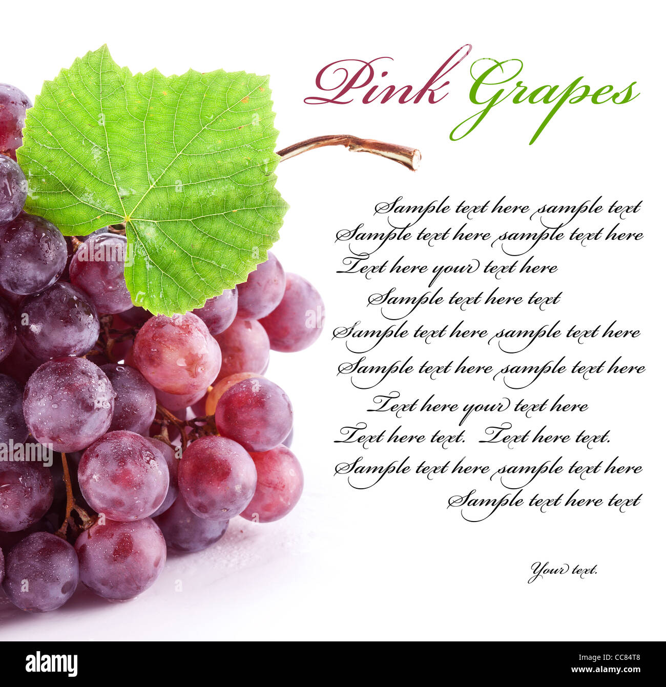 Uva rossa isolato su uno sfondo bianco. Spazio per il testo a destra. Foto Stock