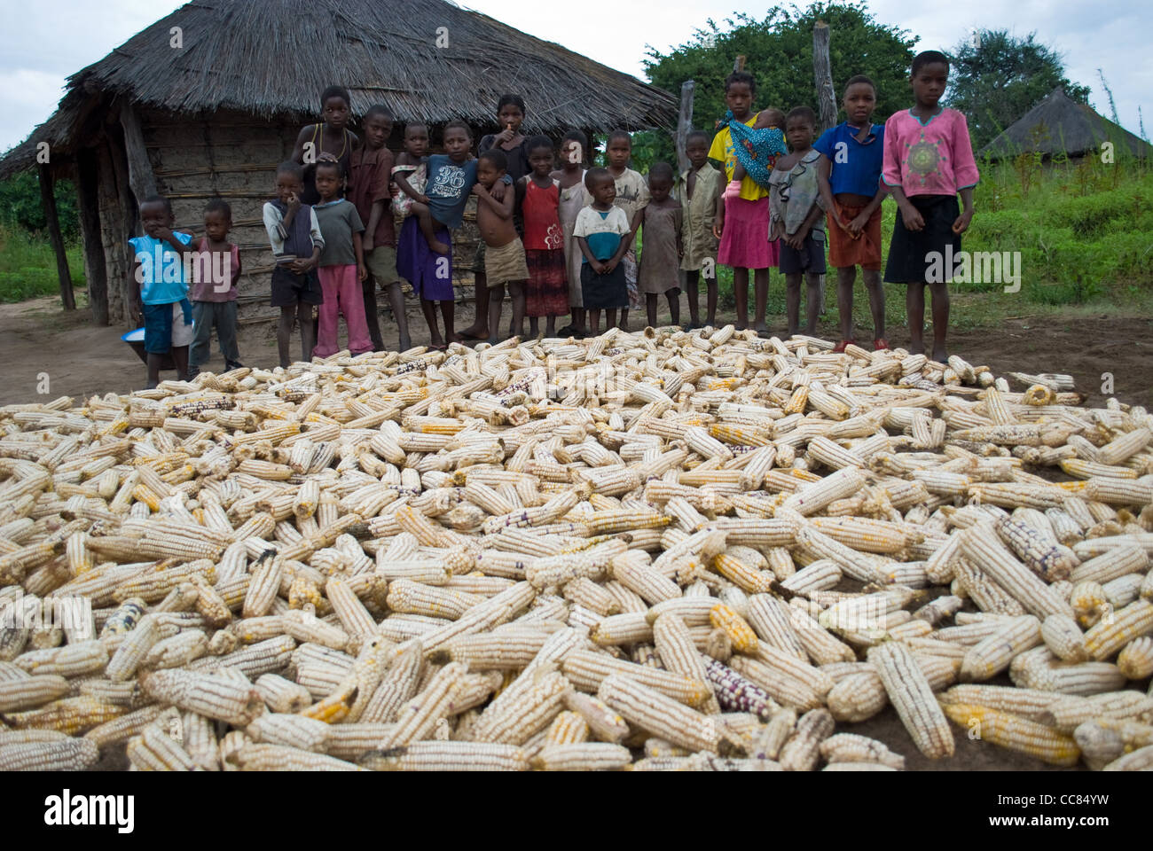 I bambini dello Zambia si sono riuniti con il raccolto di mais. Foto Stock