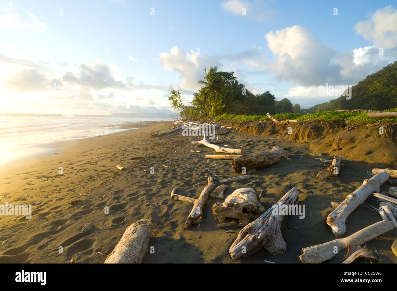 Spiaggia Puntarenas Provincia Costa Rica Foto Stock