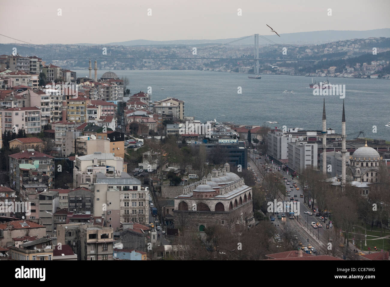 Vista del Bosforo dalla Torre di Galata, Istanbul. Foto Stock