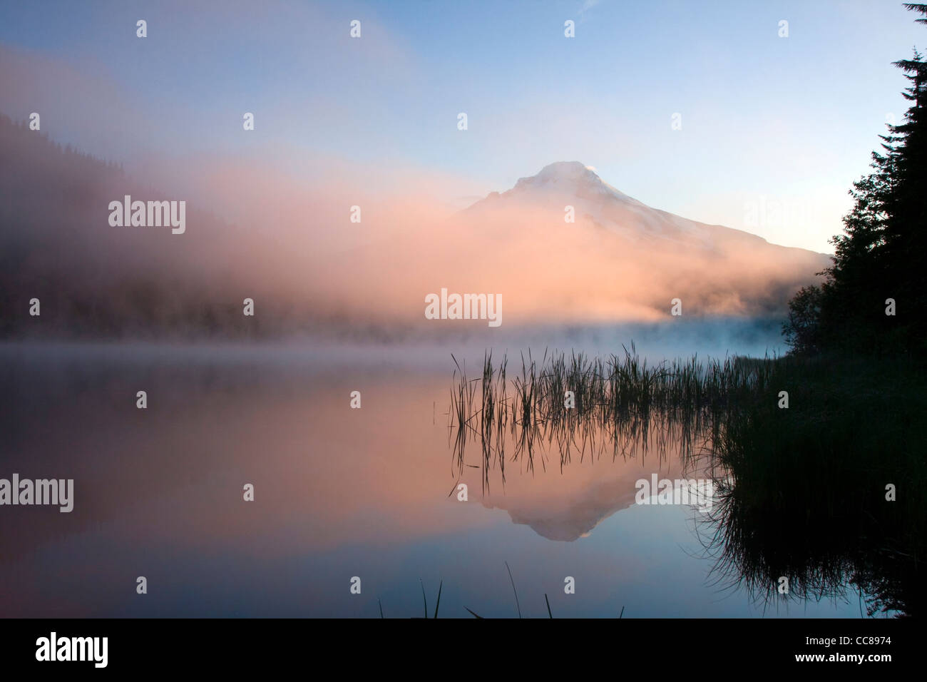 Foggy Sunrise over Trillium Lago con Mt dietro il cofano Foto Stock