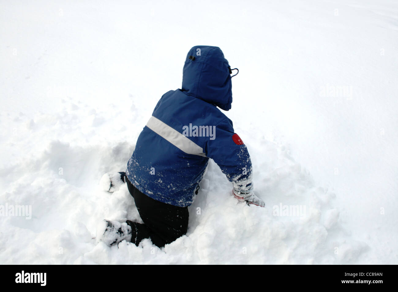 Un piccolo ragazzo in blu gioca nella neve Foto Stock
