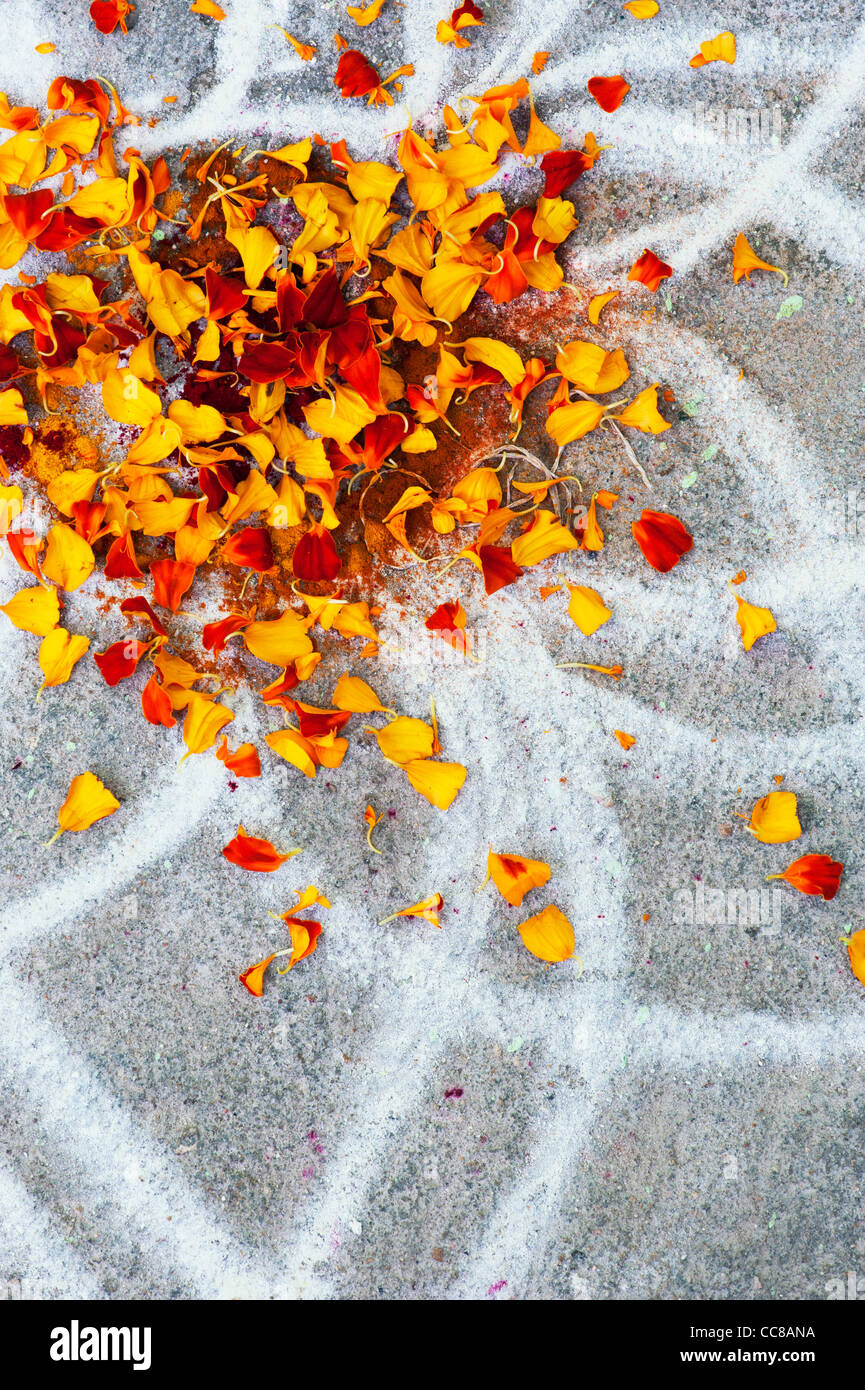 Rangoli festival di polvere colorata design e petali di fiori in un Indiano street. Andhra Pradesh, India Foto Stock