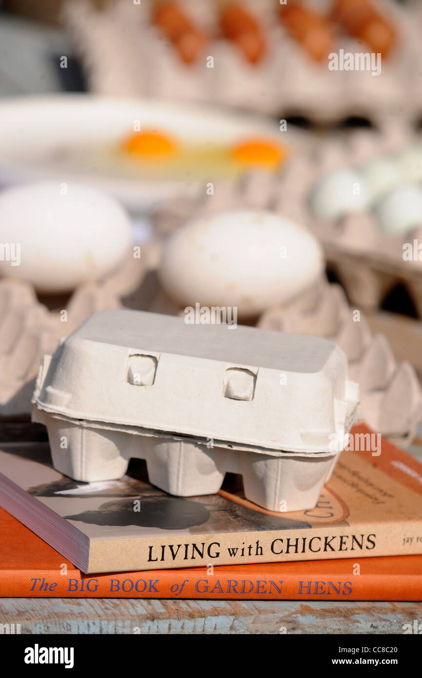 Libri di riferimento come un poultryman dà una presentazione su come mantenere i polli durante un corso smallholding a Daylesford Azienda Agricola Biologica Foto Stock