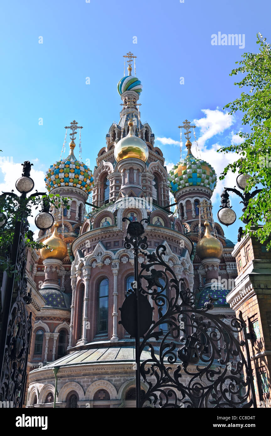 Chiesa del Salvatore sul Sangue - molto famoso punto di riferimento a San Pietroburgo, Russia, Europa Foto Stock