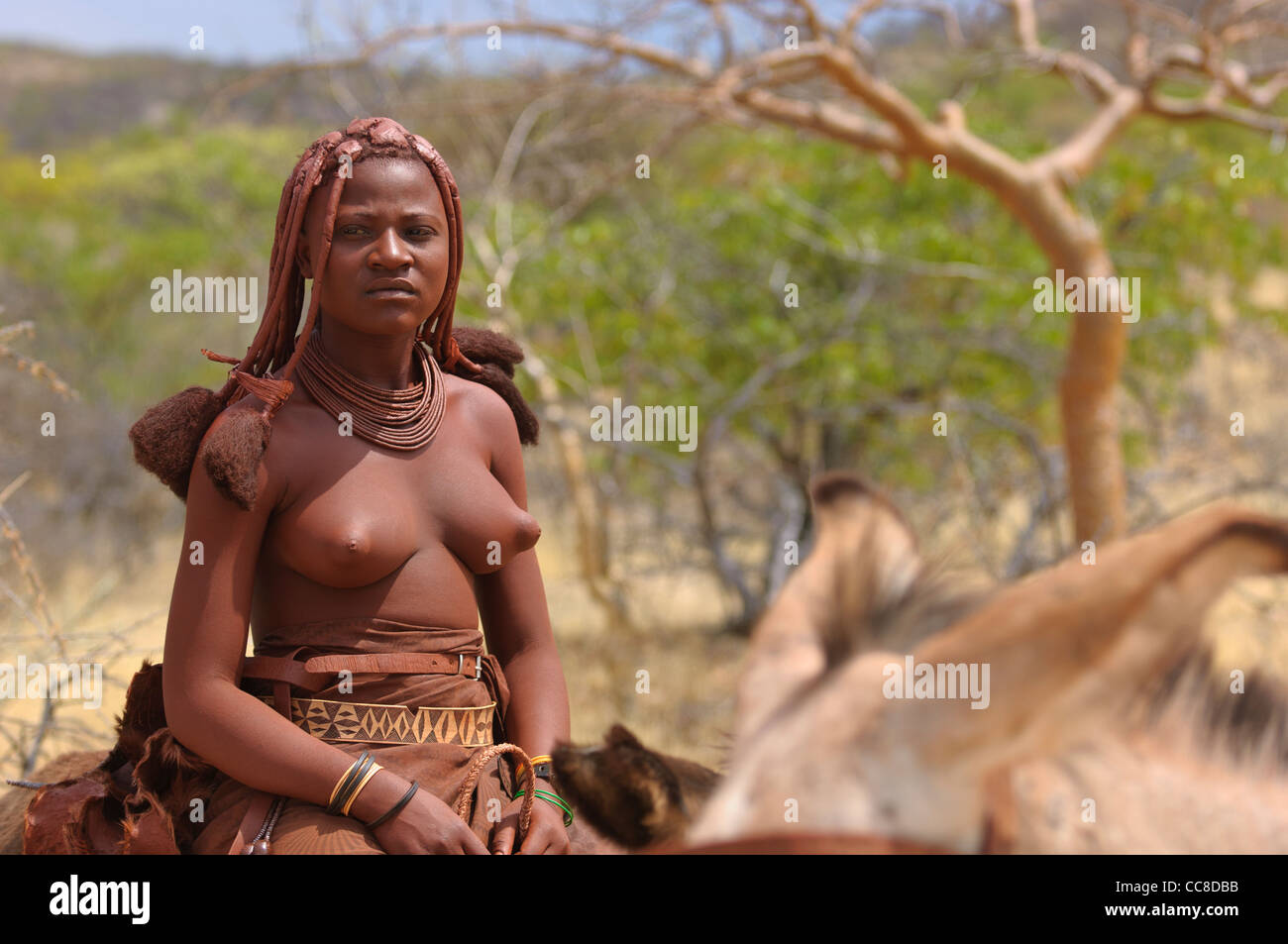 Himba donna su un asino. Kaokoland, Nami settentrionale Foto Stock