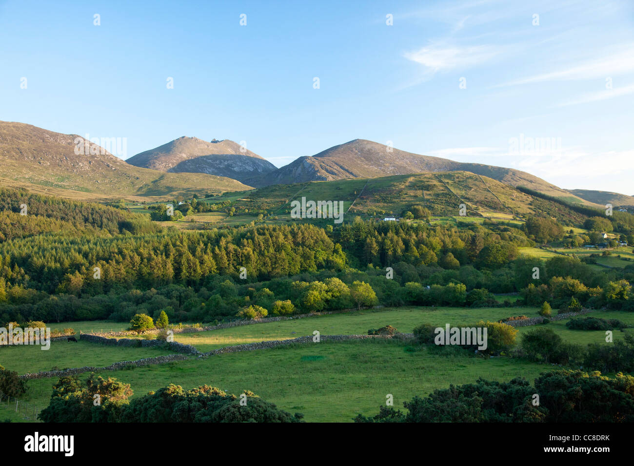 Terreni agricoli e foreste al di sotto della Mourne Mountains, County Down, Irlanda del Nord. Foto Stock