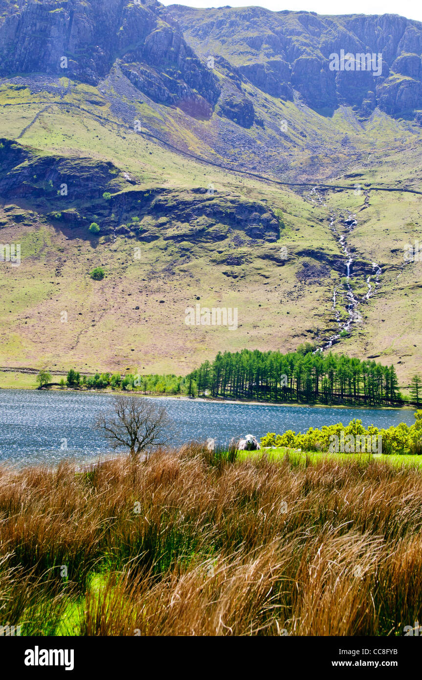 Lago Buttermere,Buttermere Fells,Fleetwith Red Pike,alto stile,alta falesia,Lake District National Trust Park,Nord Ovest Inghilterra Foto Stock